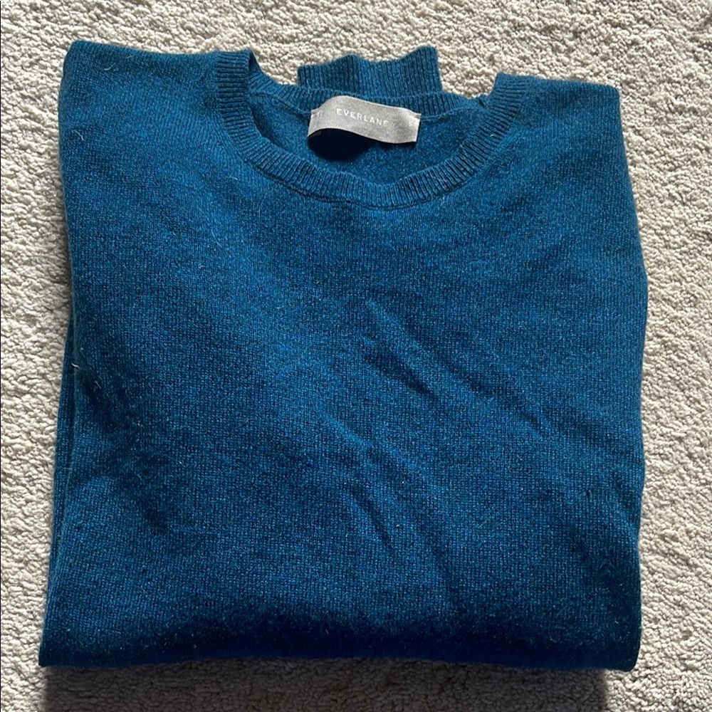 Everlane jewel toned cashmere sweater